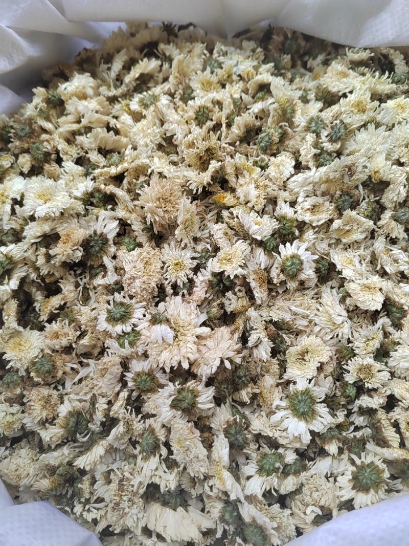 菊花，药用菊花，喝茶用菊花，七月菊，白菊，炕干无硫