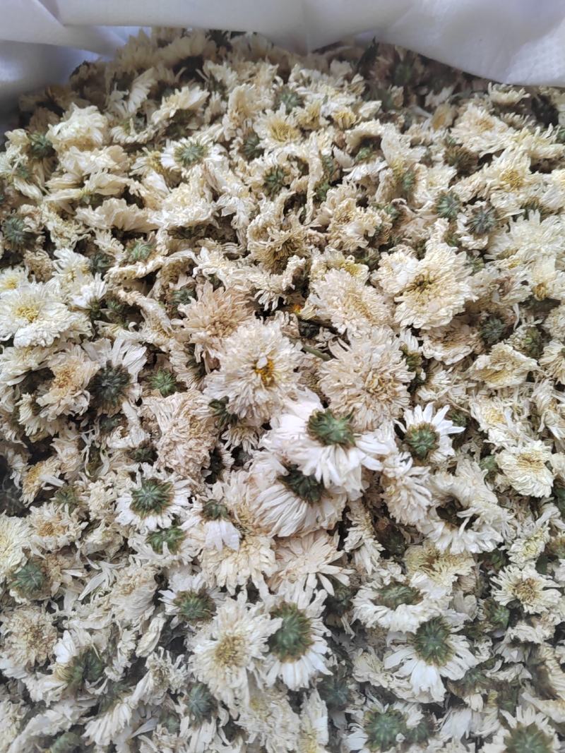 菊花，药用菊花，喝茶用菊花，七月菊，白菊，炕干无硫