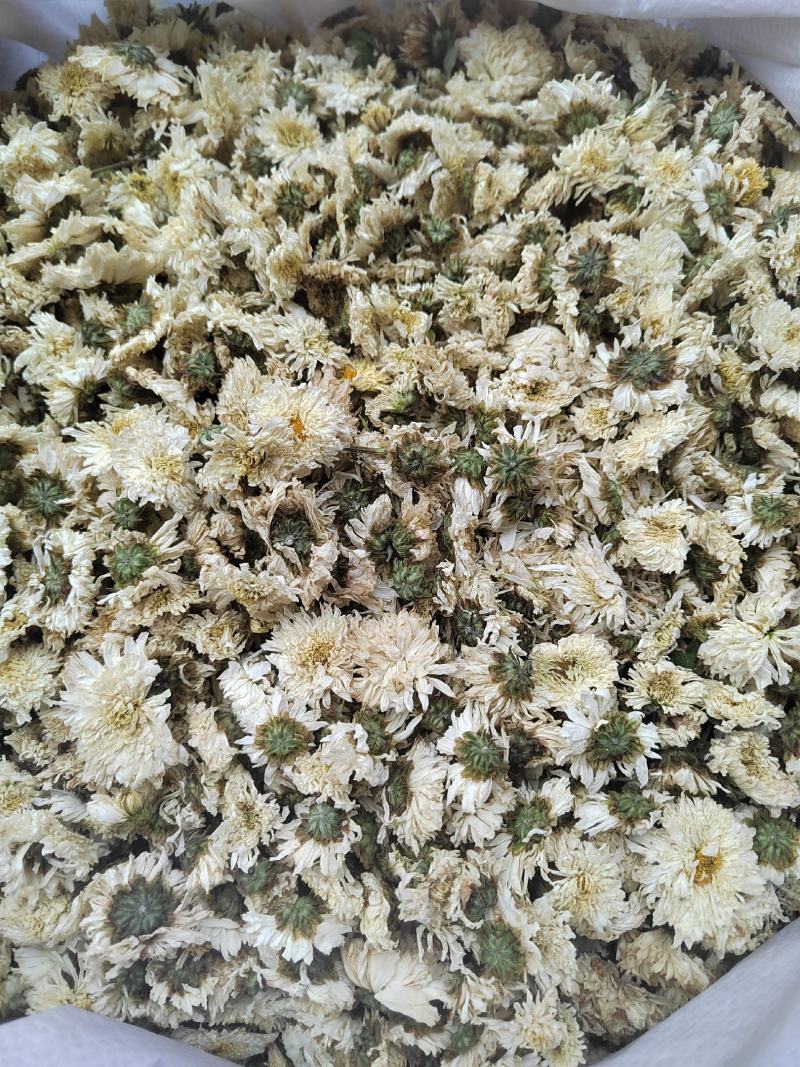 菊花，药用菊花，喝茶用菊花，七月菊，白菊，炕干无硫