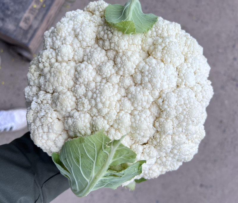 花菜大量上市，白面青梗花菜，小米粒，雪白