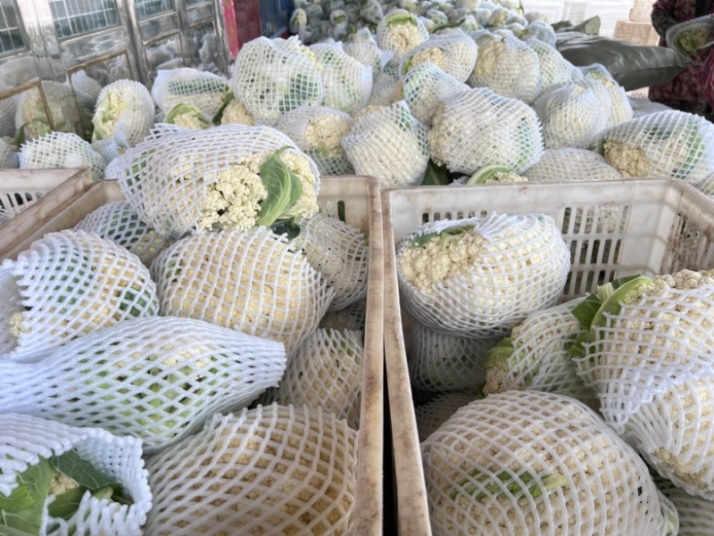 花菜大量上市，白面青梗花菜，小米粒，雪白