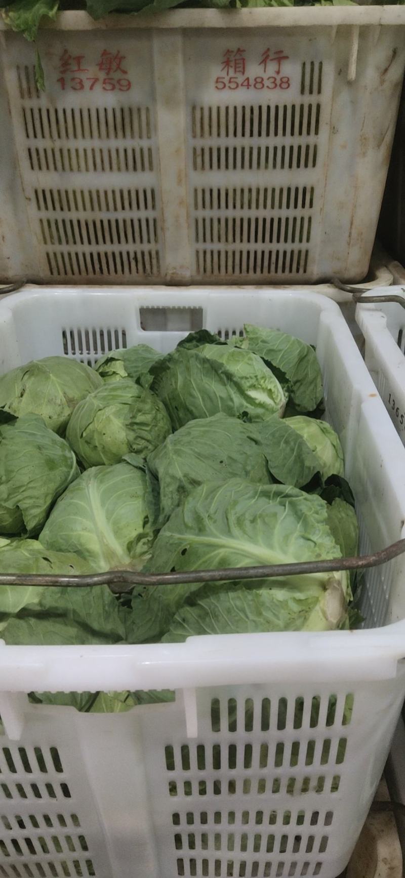 小铁头