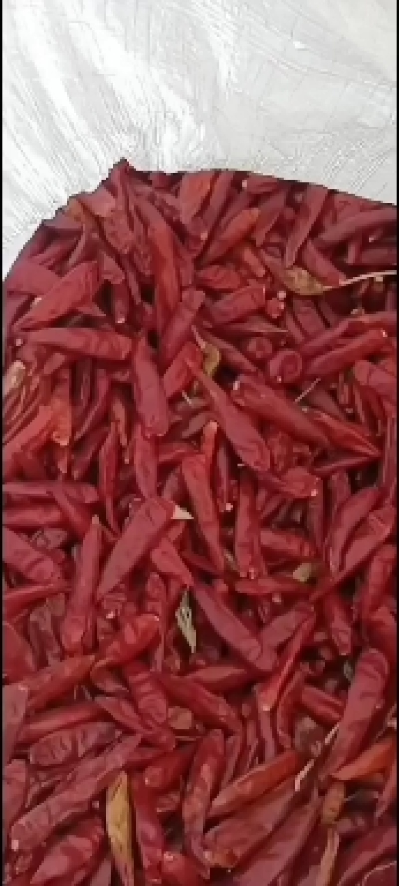 干辣椒