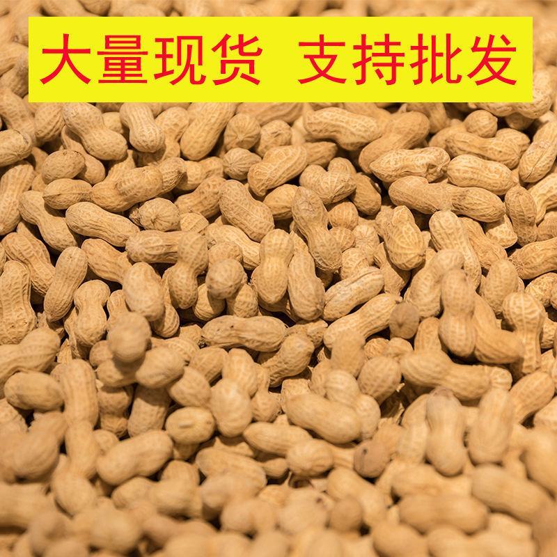 炒花生原味炒花生熟花生坚果花生口感正宗炒花生火爆上市