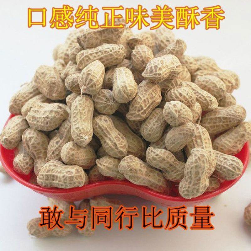 炒花生原味炒花生熟花生坚果花生口感正宗炒花生火爆上市