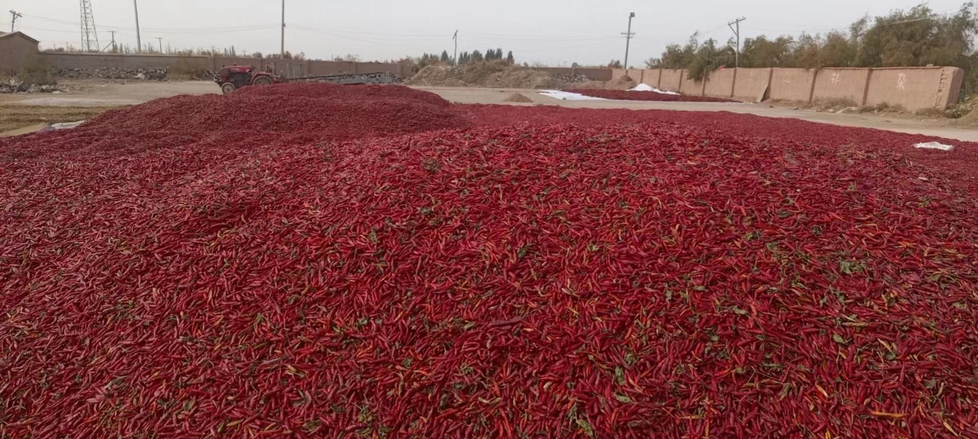 中国主要干辣椒产区地图示意