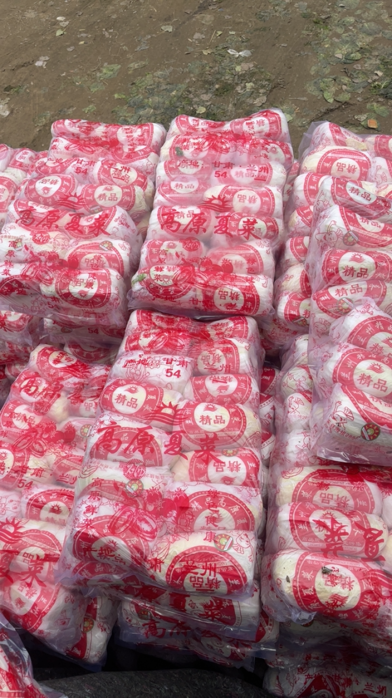 【精品】大小娃娃菜基地、品质优越，一手货源，现货供应