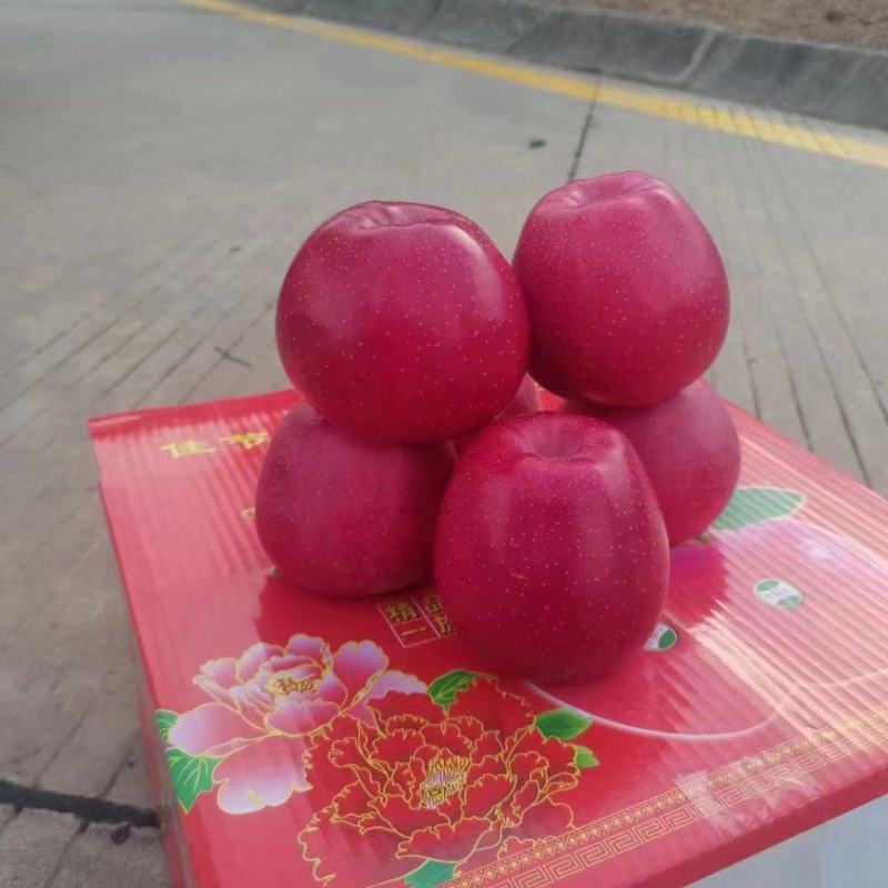 水红秦冠