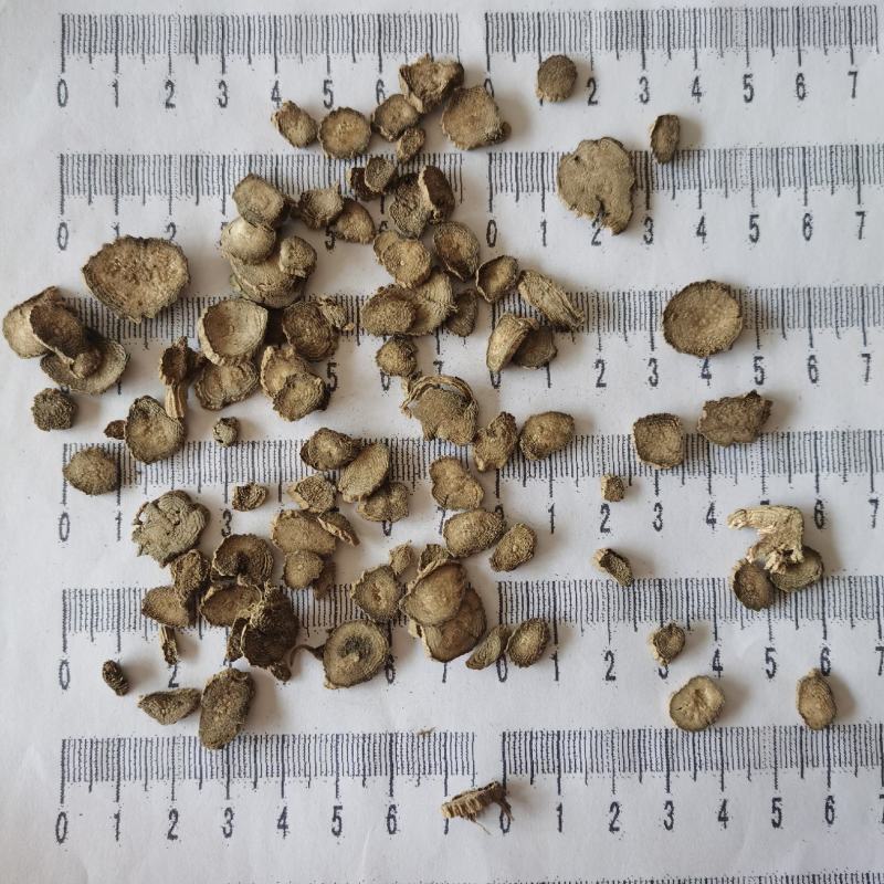 川牛膝产地四川无硫货干低价冲销量川牛膝薄片