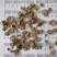 川牛膝产地四川无硫货干低价冲销量川牛膝薄片