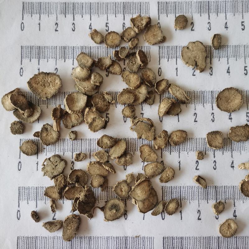 川牛膝产地四川无硫货干低价冲销量川牛膝薄片