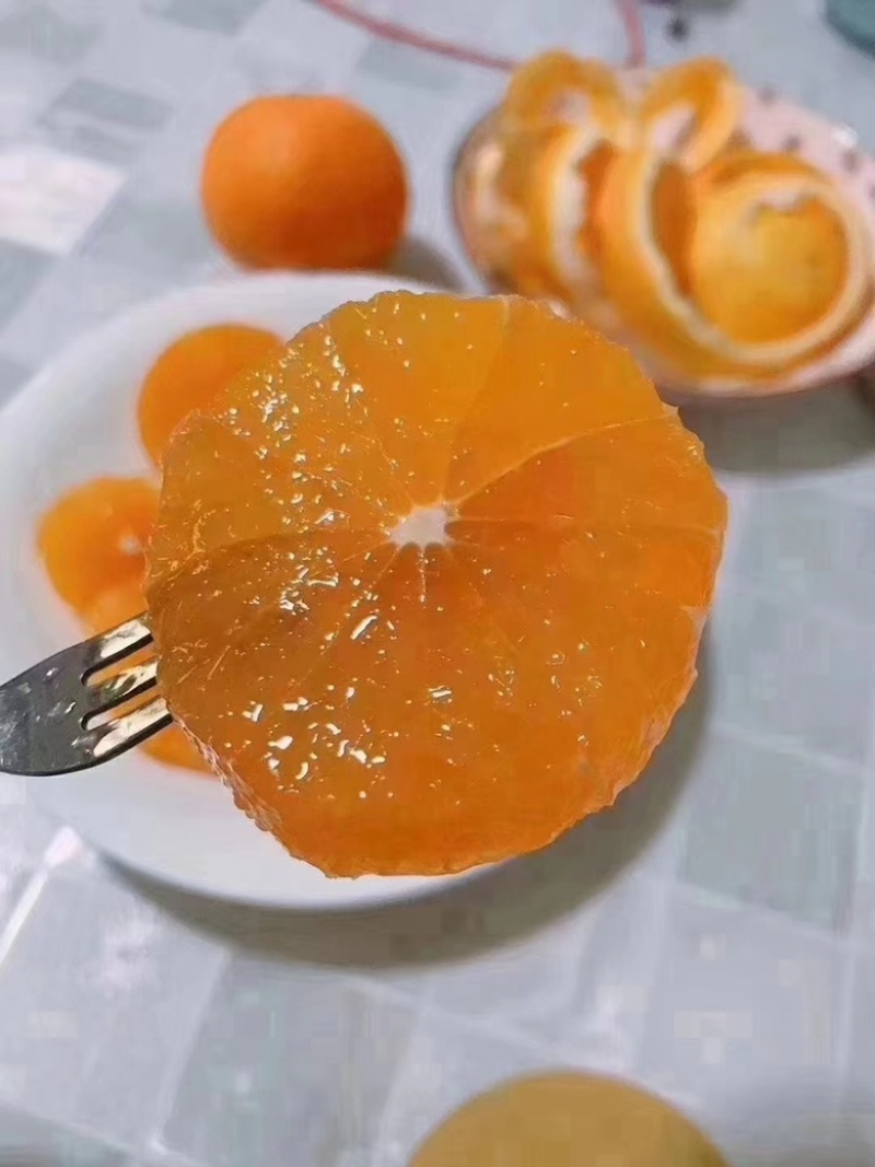 湖北宜昌秭归九月红脐橙基地直供保质保量量大从优