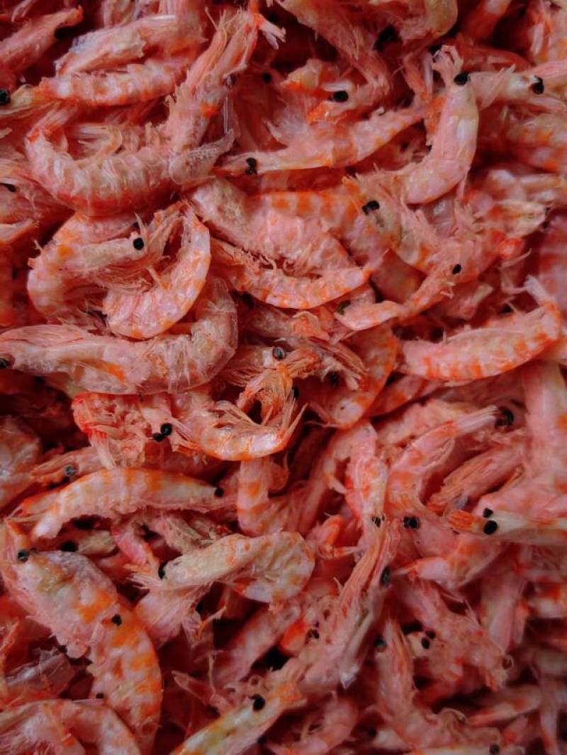 南极深海鳞虾皮，肉质鲜美，个头均匀，质量把关，批发加零售