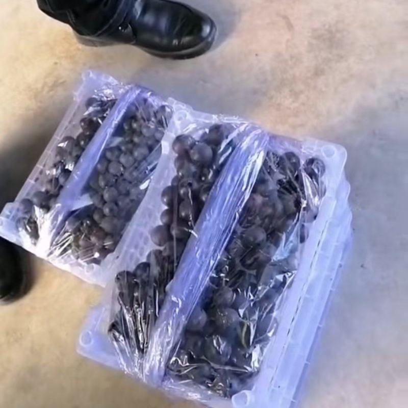 5斤白盒软软根自然果根绿不掉粒口感甘甜套袋无公害葡萄。