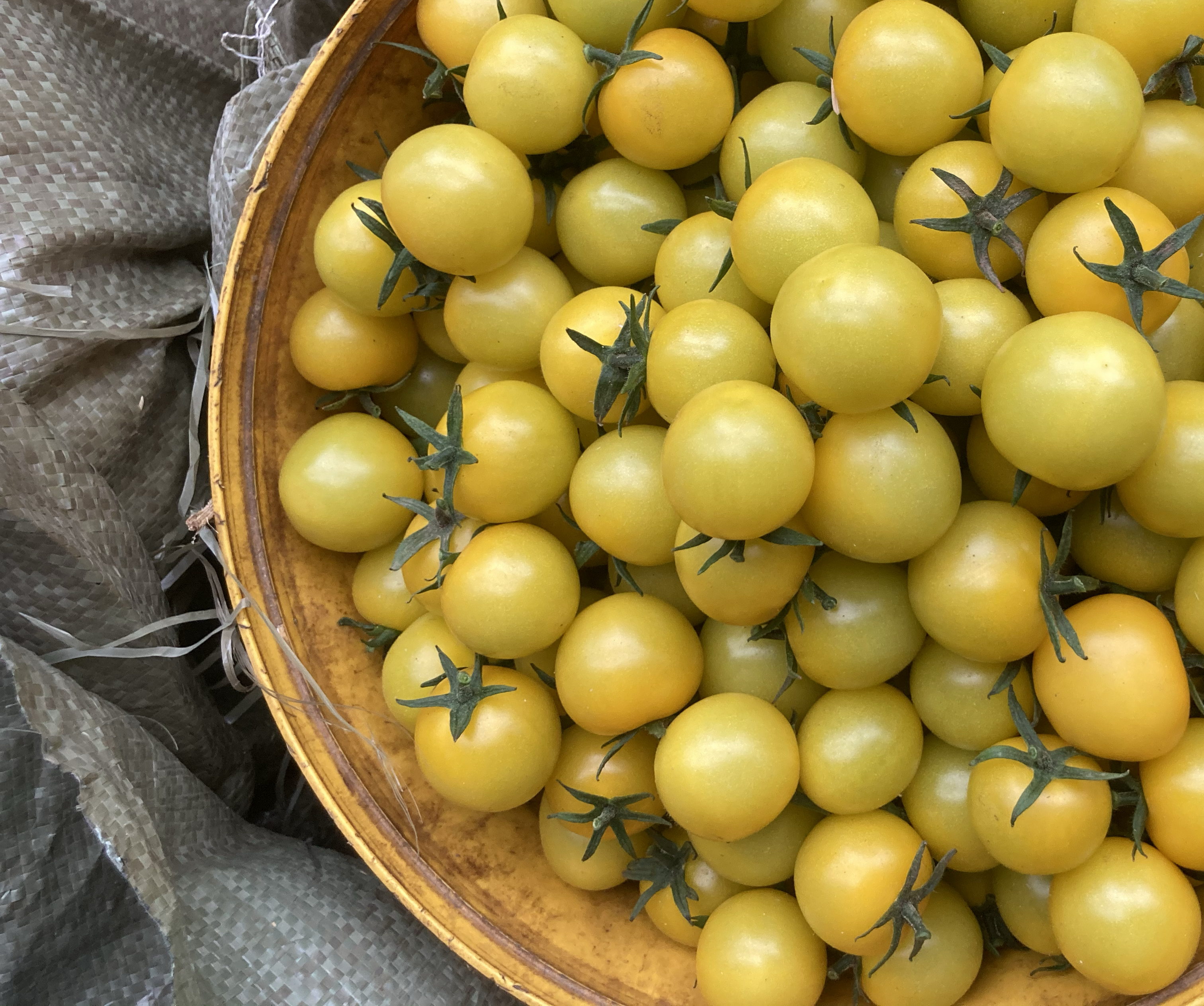 图片说明:一盘由黄色西红柿制作的沙拉,搭配绿叶蔬菜与橄榄油,展示其鲜艳色泽与诱人风味 黄色西红柿沙拉特写