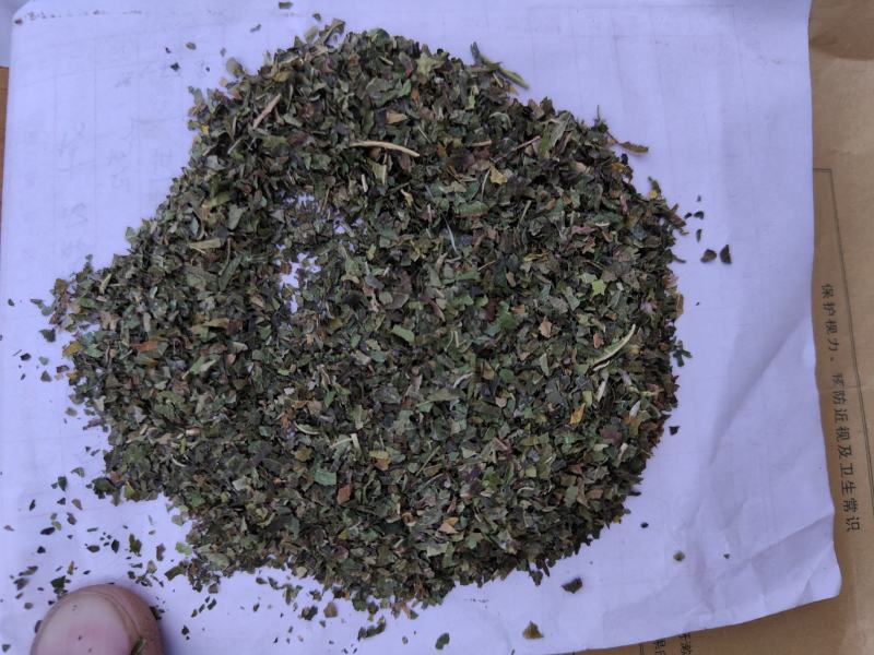 桑叶碎渣沫批发批发零售量大从优支持混批一件代发