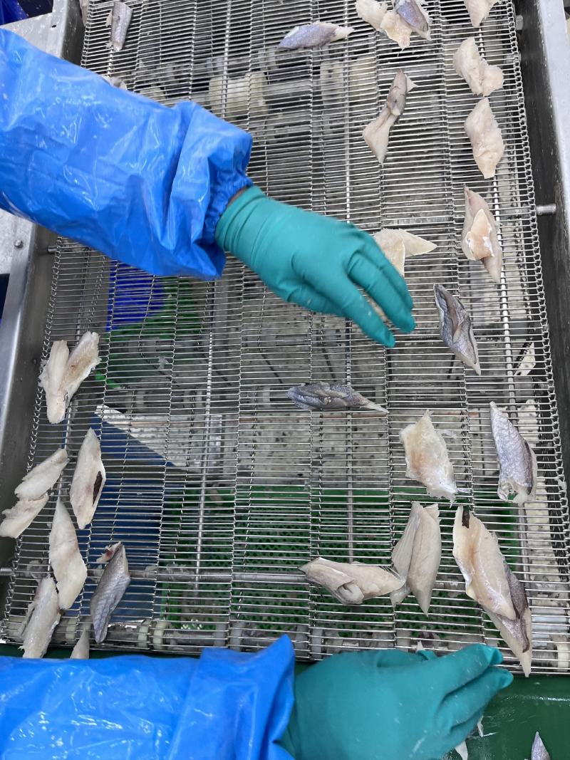 批发出售深海鳕鱼排各种规格齐全
