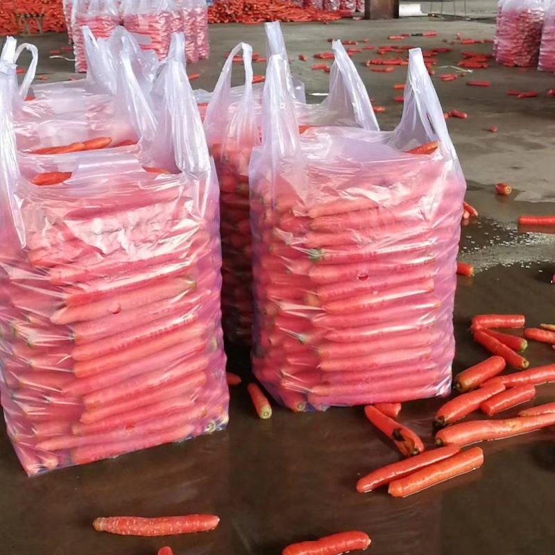 甘肃本地现拔胡萝卜/水洗/量大价优/可视频看货/欢迎咨询