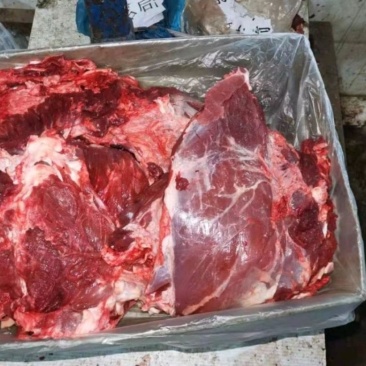 西门塔尔牛肉