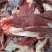 西门塔尔牛肉
