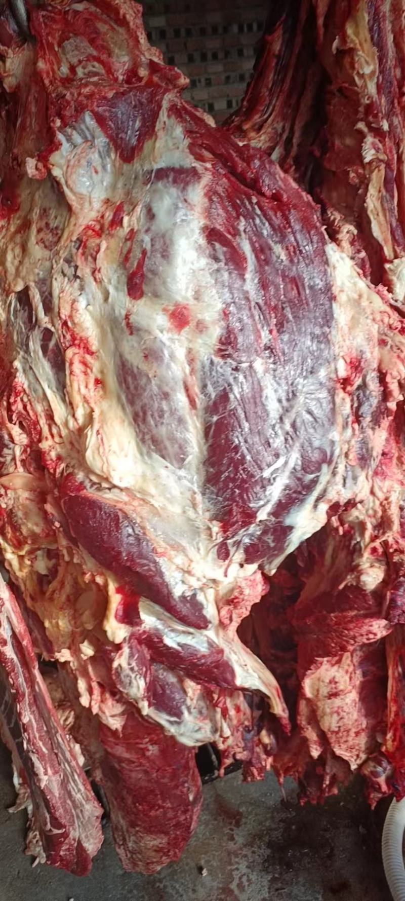 西门塔尔牛肉