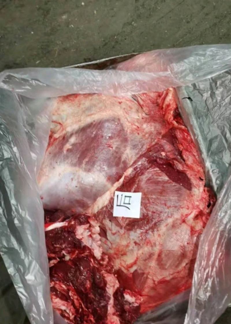 西门塔尔牛肉