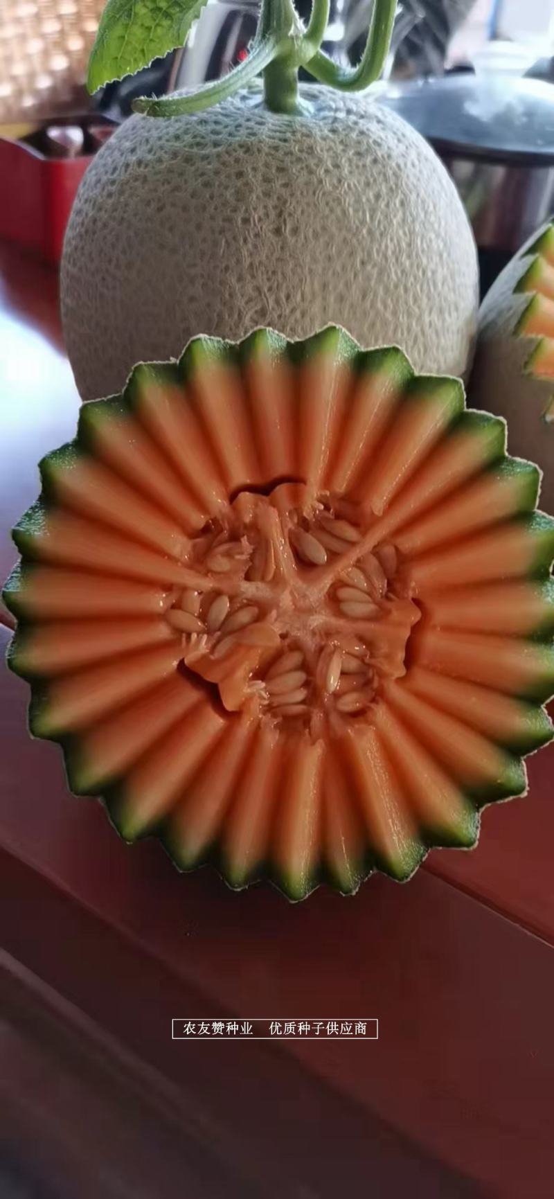 高品质网纹瓜种子景甜厚皮甜瓜种子果肉厚红色，糖度高