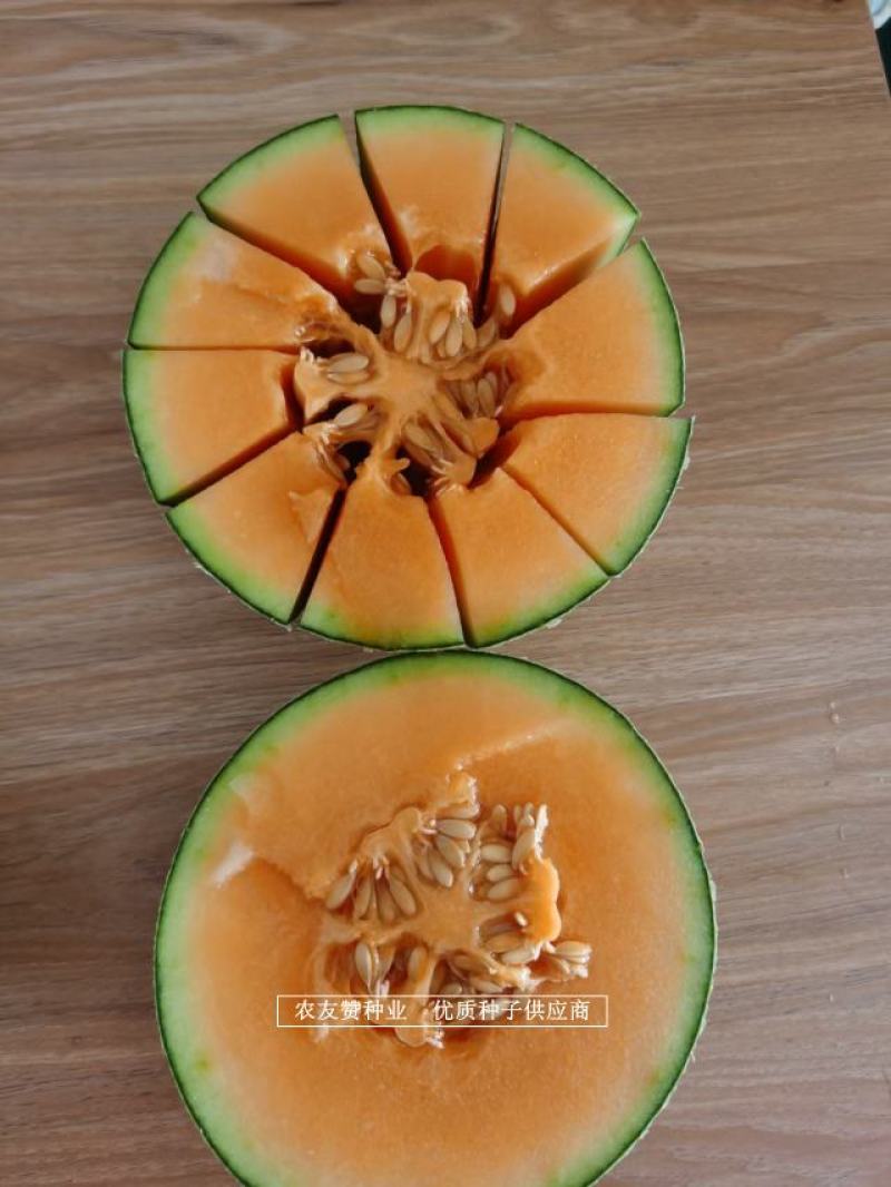 高品质网纹瓜种子景甜厚皮甜瓜种子果肉厚红色，糖度高