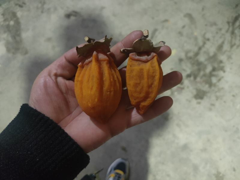 富平柿饼甜蜜中国，香甜可口，正宗，香甜可口，软糯香甜
