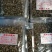 厂家批发小田螺肉螺蛳肉干净无沙餐饮专用400克