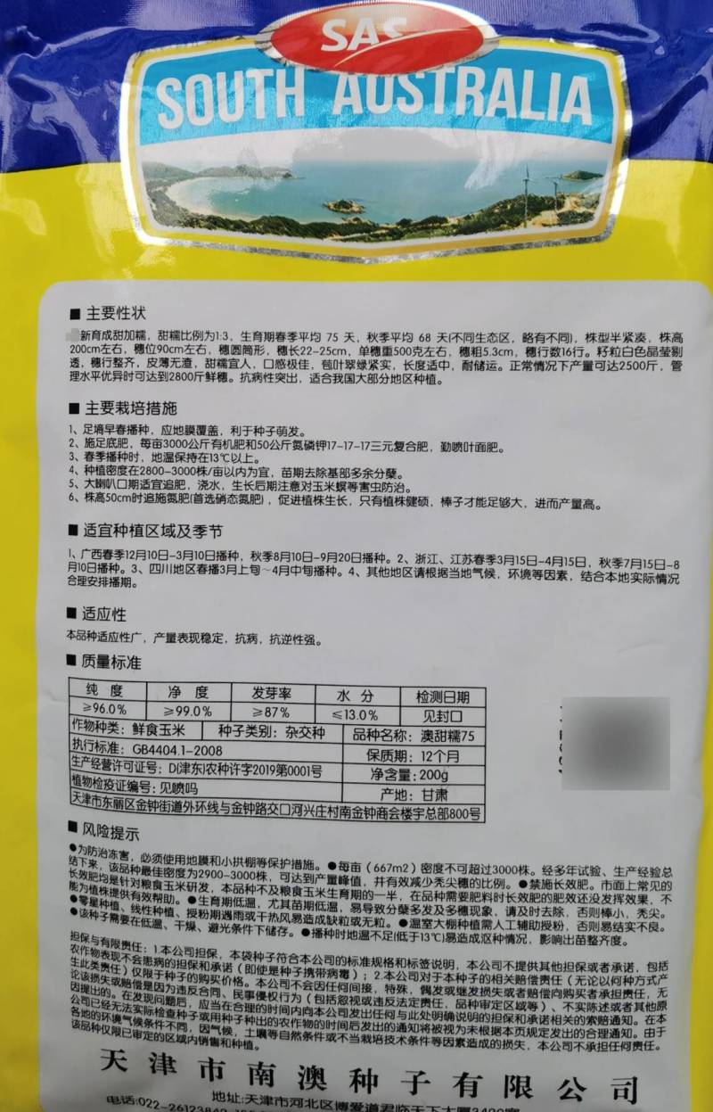 澳甜糯75糯玉米种子早熟大棒甜加糯春秋白糯粘玉米种子