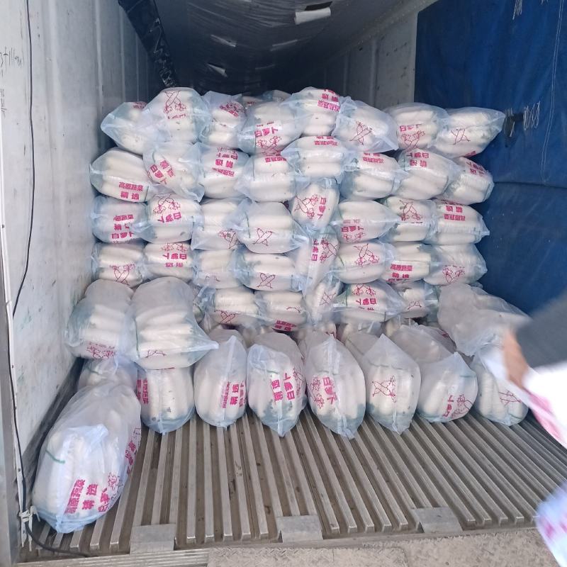 白萝卜已经上市欢迎新老客户选购