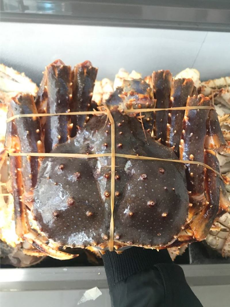 鲜活帝王蟹保证鲜活口感好肉质细腻