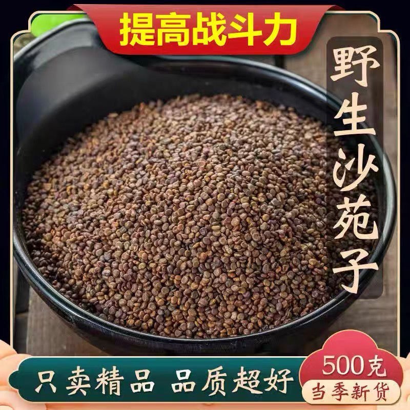 沙苑子正宗山西沙苑子泡酒料泡茶泄中药材免洗沙苑子阳茶
