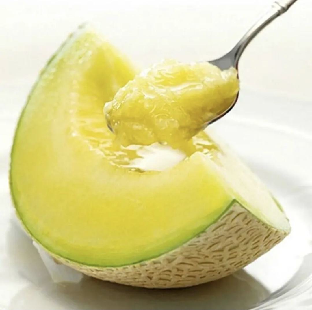 切开的鲁厚甜网纹瓜横截面展示