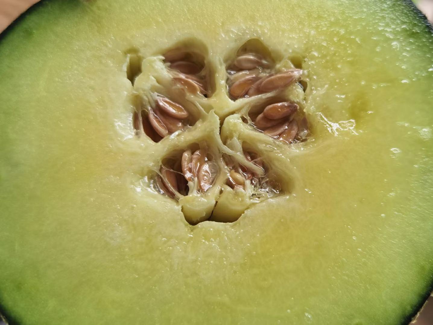 网纹瓜的触感判断