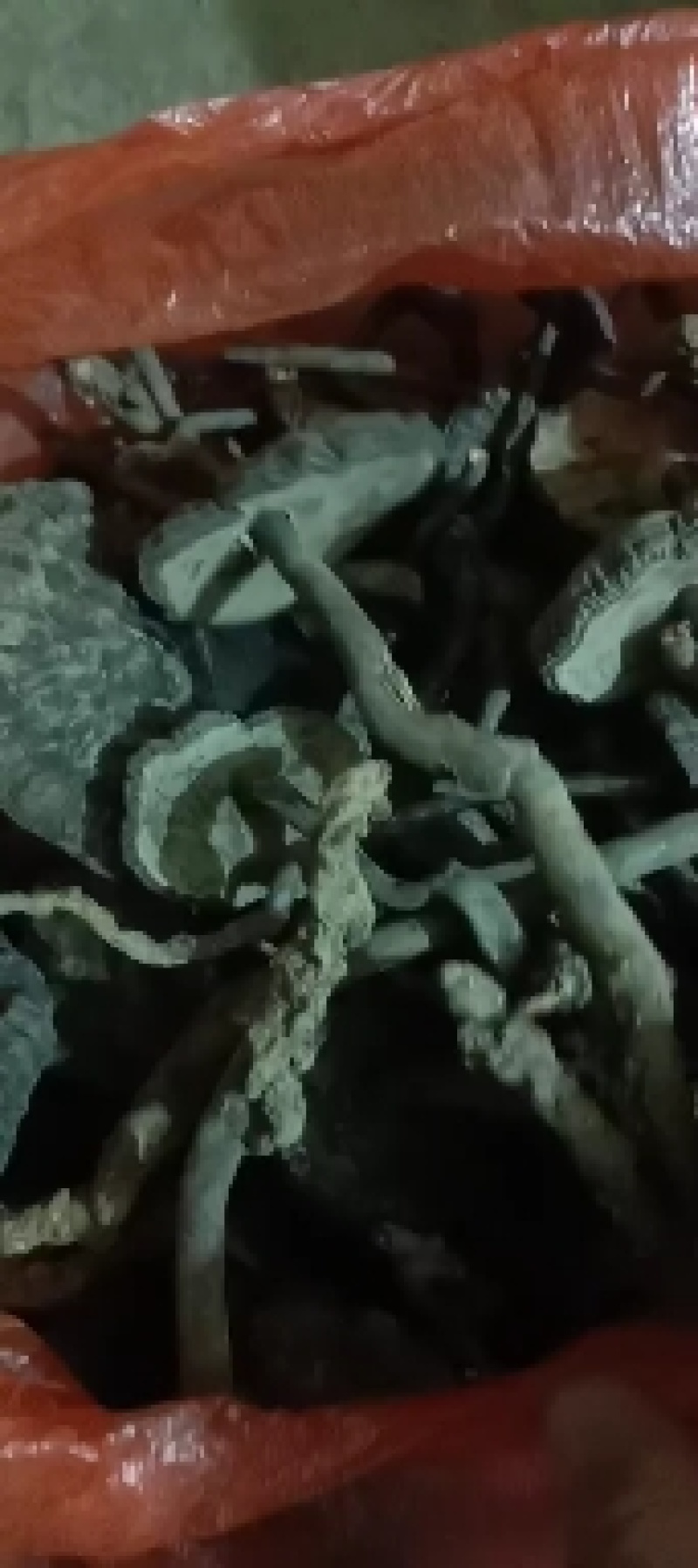 香血灵芝(有长脚，短脚，原肉的)一手货源，大量批发
