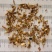 槲寄生产自桦树无硫熏货干低价冲销量质量保证量大从优