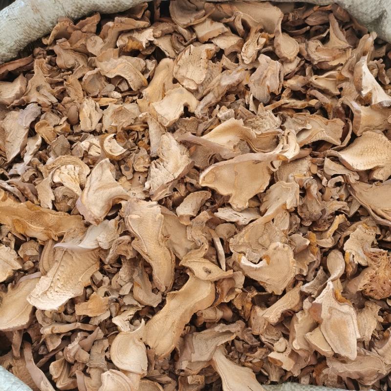 槲寄生产自桦树无硫熏货干低价冲销量质量保证量大从优