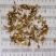 槲寄生产自桦树无硫熏货干低价冲销量质量保证量大从优