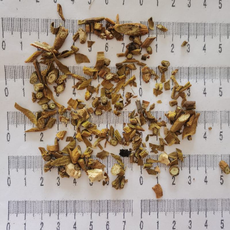 槲寄生产自桦树无硫熏货干低价冲销量质量保证量大从优