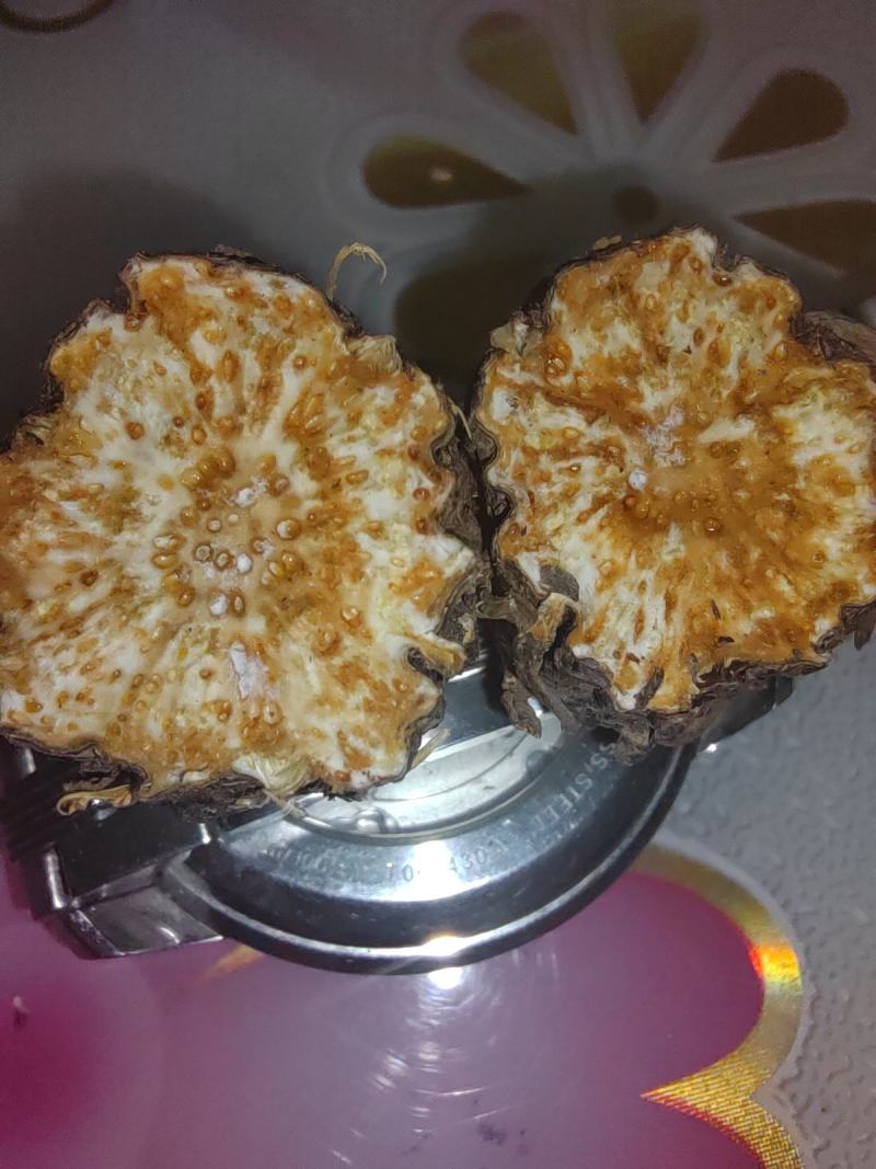 纯正北苍术