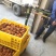 专业供应大量柿饼供应精品包装各种规格实体各发电商平台
