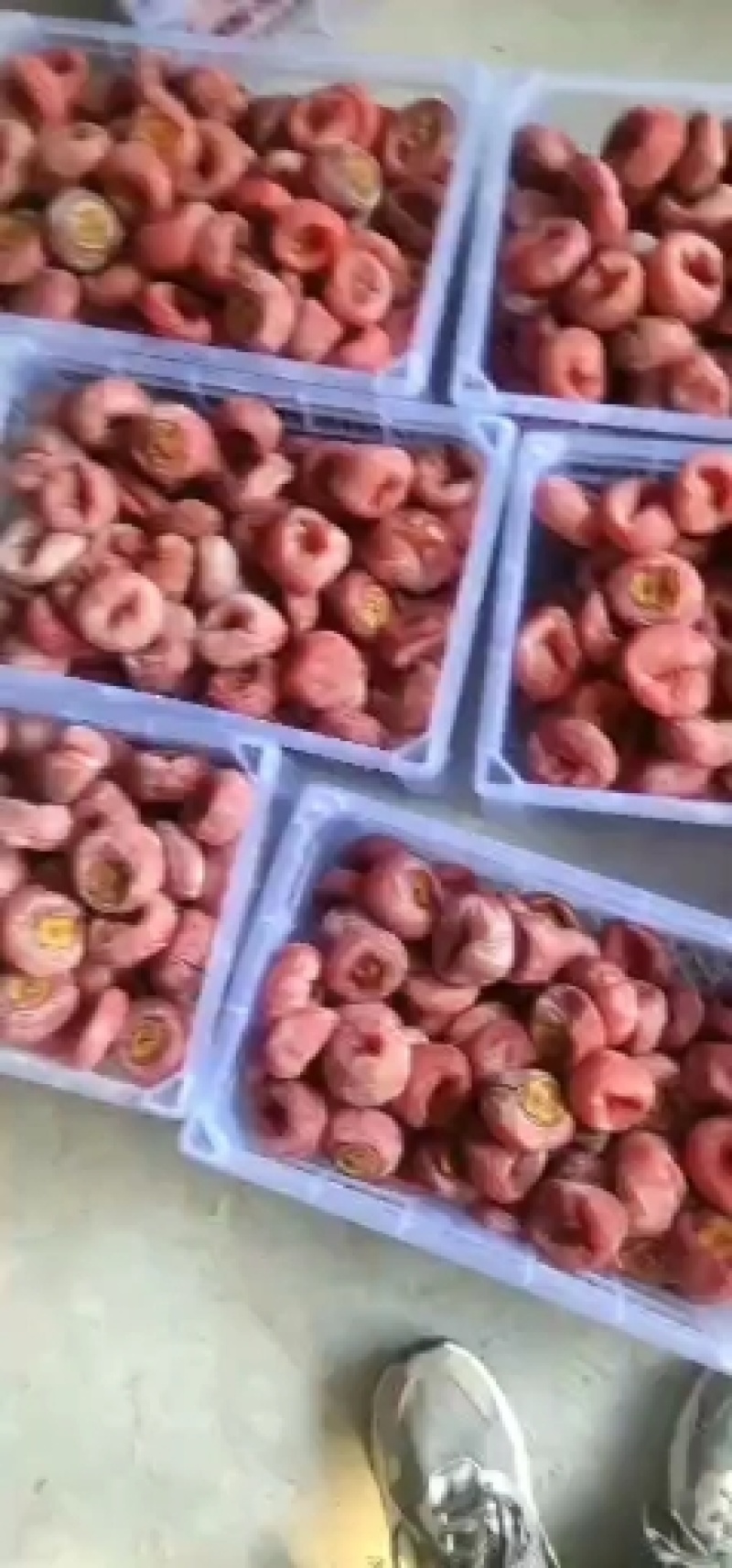 专业供应大量柿饼供应精品包装各种规格实体各发电商平台