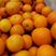 九月红果冻橙个头大颜色全红口感纯甜水份足价格实惠产地货源