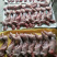 兔肉产品规格齐全，全年供应，价格实惠，欢迎沟通