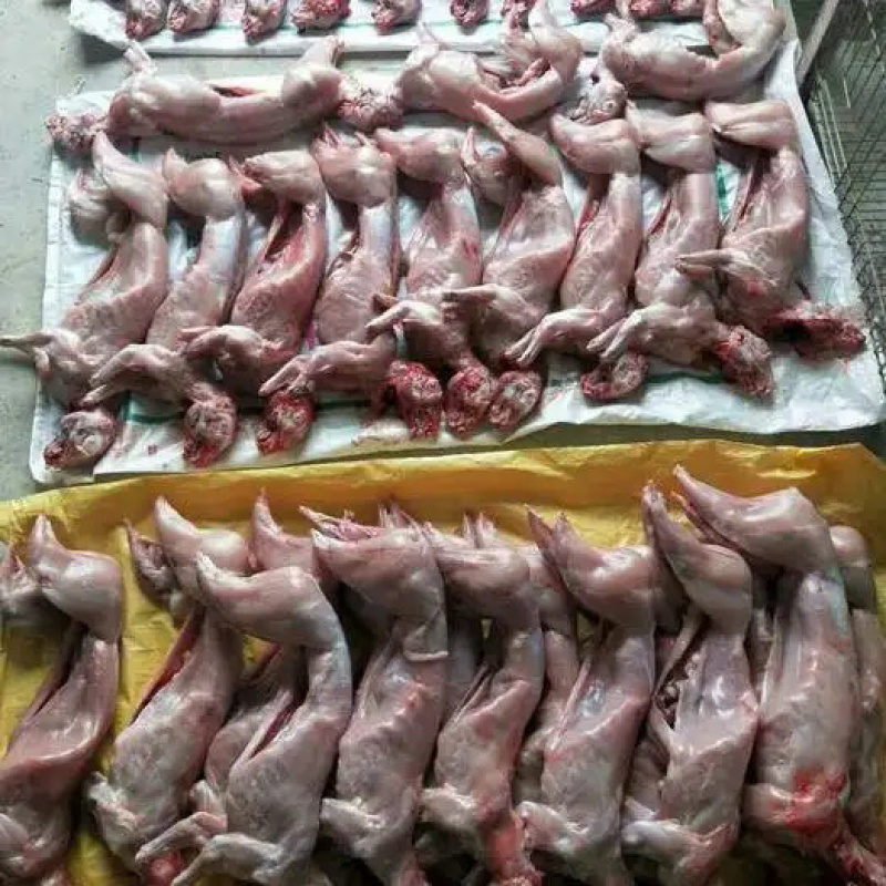 兔肉产品规格齐全，全年供应，价格实惠，欢迎沟通
