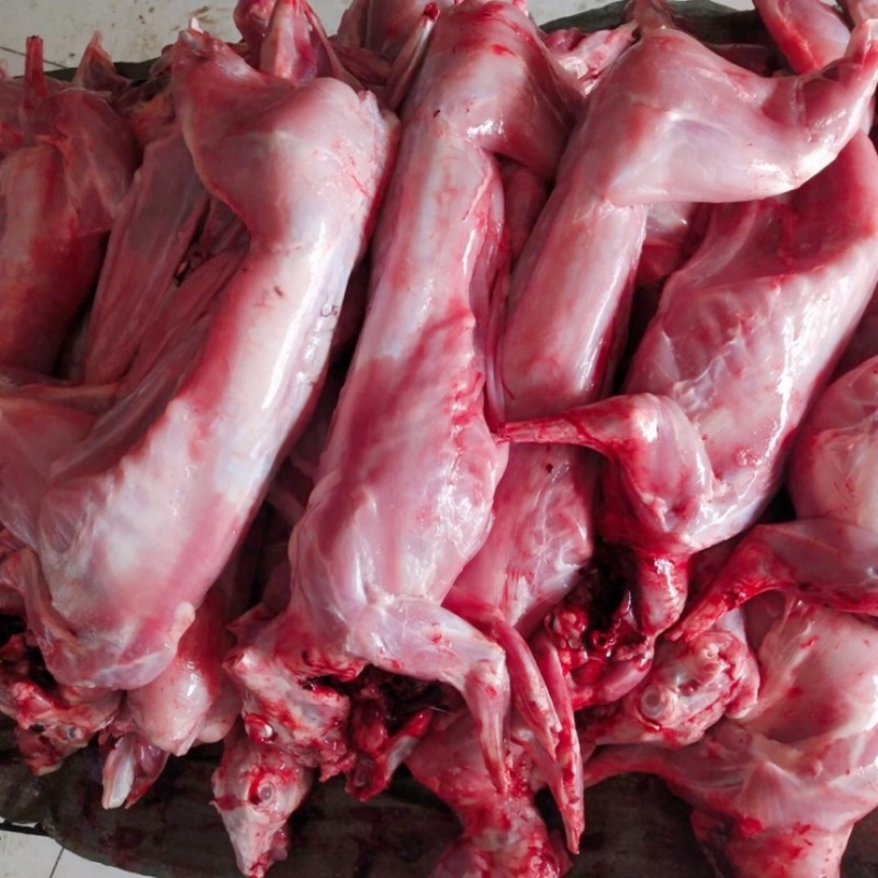 兔肉产品规格齐全，全年供应，价格实惠，欢迎沟通