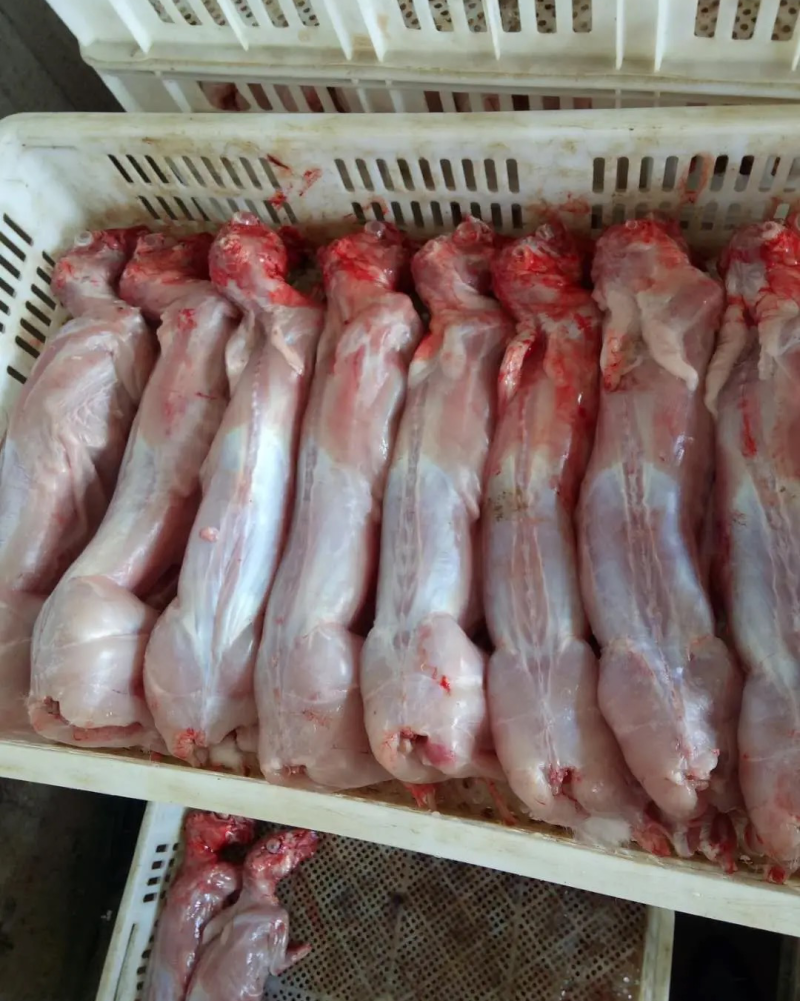 兔肉产品规格齐全，全年供应，价格实惠，欢迎沟通