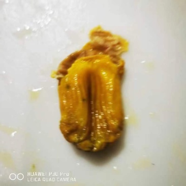 纯干鸡内金